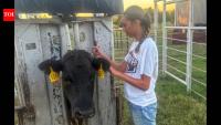 Meet Locklyn Raye Ward, the Oklahoma eighth-grader who tested 24 wild plants from her family's farm and found 56% showed antibacterial activity, though none beat antibiotics