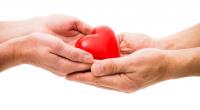 Netherlands has 8.2 million registered organ donors, up 90,000 in a year