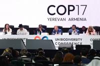 Nations agree to get UN nature goals back on track