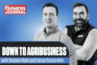 Down to Agribusiness: power, policy and the price of doing business