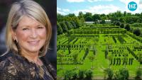 Martha Stewart’s 152-acre New York farm keeps growing; 26 years after purchase, it has 19 pheasants and over 100 chickens