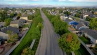 Nine Colorado communities receive urban forestry grant funding