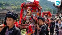 Chinese village carries dogs on sedan chairs in centuries-old festival honouring them as lifesavers