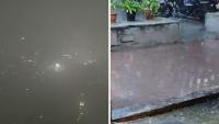 Mumbai Weather Update: Byculla, Dadar & Vikhroli Lashed By Heavy Rains Overnight; AQI Remains Poor Amid Clear Skies Forecast