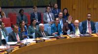 UK, France and Allies Blast Russia’s Veto, Warn of Setback in Western Sahara Talks