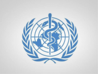 [WHO Reports Over 9,000 Casualties in Yemen Escalation as Health Authorities Warn of Medical Services Collapse in Taiz