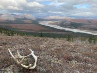 International Review Reveals Importance of Hidden Arctic Root Processes for Climate Change
