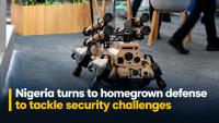Nigeria turns to homegrown defense to tackle security challenges