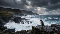 Islands concentrate one-fifth of global biodiversity but face climate and ecological risks by 2050