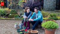Psychology says people who prefer gardening over socialising may not necessarily be introverts, and their choice could reveal an interesting relationship with solitude