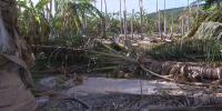 State launches emergency relief grants for farmers impacted by recent storms
