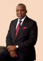 Power sector privatisation failed due to tariff, process abuses- Nnaji