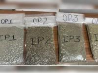 Hydroponic cannabis worth Rs 51.7 lakh seized at Chennai airport