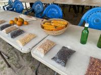 Traditional Seeds Key to Climate Resilience 