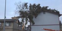 Power outages hit thousands as wicked winds whip around Anchorage, Mat-Su