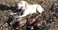 OUTDOORS: Dealing with weather can make or break an outing