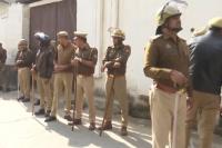 UP STF busts wildlife trafficking racket, recovers 7 rare falcons