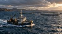 Climate Change Transforming the Ocean: Can Seafood Giants Protect Our Food Supply?