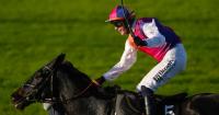 Haiti Couleurs shines from the front at Down Royal