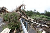 Natural disasters, climate change increase threat from invasive species for Pacific islands