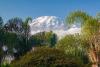 Tanzania Private Safari Kilimanjaro Wildebeest Tours 2021 Travel Operator Launch