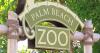 Palm Beach Zoo shares 4 major summer updates, from Kids Free extension to Zoo Lights preview