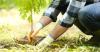 Experts advocate plant-based diets to boost food security, combat climate change