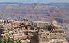 Grand Canyon businesses blame $100 foreign visitor fee for driving down tourism