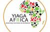 Ekiti Guber: Stop weaponising poverty via voter inducement – Yiaga Africa, IPC, urge political parties
