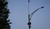 Massachusetts city revives gunshot detection system after deadly shooting