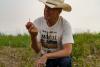 In farm bill fight, Montana congressmen at odds with MAHA majority