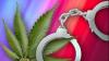 ‘Ganjapreneur’ bust alleges $77M  THC operation in South Carolina”