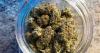 Jefferson County resident calls for state oversight of Trulieve cannabis facility over water concerns