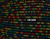 Researchers identify genes that hinder CRISPR editing efficiency