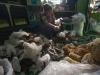 DENR to tap informal workers in solid waste management, provide opportunities