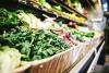 In Support of Dominica’s Production of High-value Food Crops
