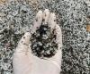 UK water firm says 'highly likely' behind plastic pellet pollution incident