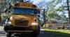 New report shows Louisiana's scorecard from education to violence. See national ranks.