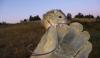 Colorado Health Experts Urge Caution Against Hantavirus