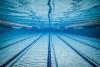 Mewett And Shepherd Win Carifta Swimming Medals
