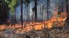 Residents urged to avoid outdoor burning during Red Flag alert in South Carolina