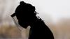 Study: Public health leaders face more backlash after COVID-19 pandemic