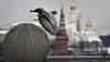Russia prepares false-flag provocations against NATO countries – CCD