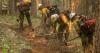 Interior and Agriculture heads lay out plan for more efficient wildfire collaboration