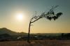 Oman temperatures continue to rise as mercury crosses 45°C