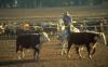 Recruitment: Deciphering Australia’s agricultural job market, region by region    