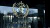 Hantavirus: WHO confirms outbreak on cruise ship, three dead, seven infected