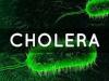 Africa CDC warns of cross-border spread of Mpox, Cholera