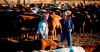 Recruitment: 14 key trends identified in Rimfire’s 2025 Agribusiness HR Review
