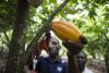 Fairtrade calls on firms to back human rights laws protecting cocoa farmers